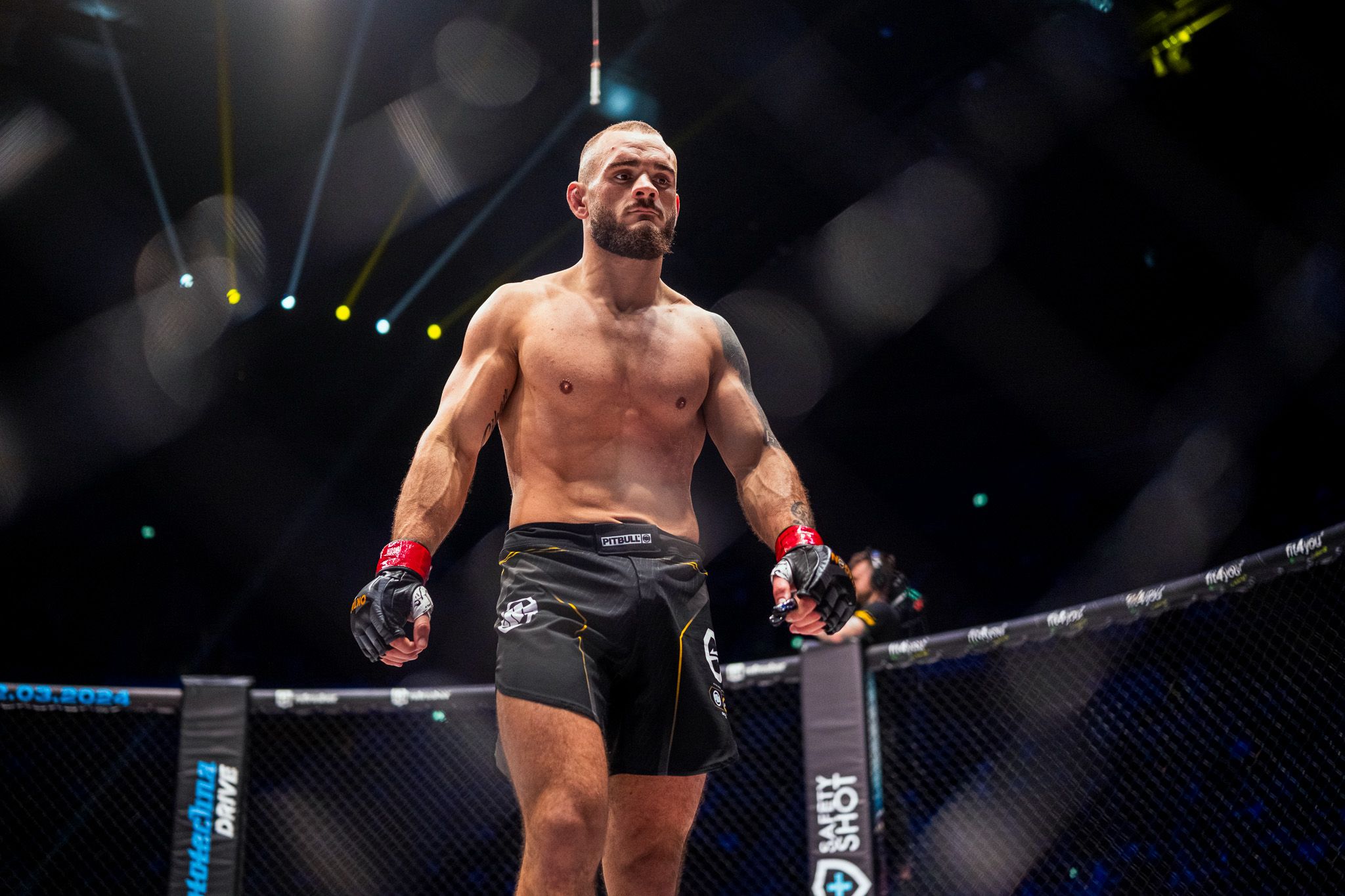 Emir-Can Al 3 Emir-Can Al